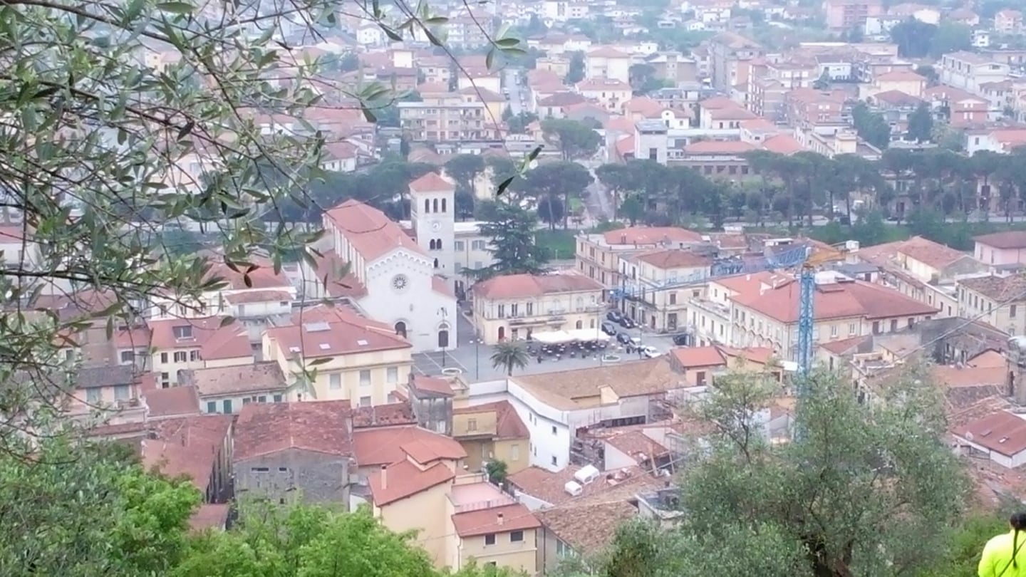 Comune di Sora delibera un dog park da 1500 metri quadrati