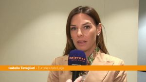 Ungheria, Tovaglieri “Tentativi di influenzare elezioni con ingerenze esterne”