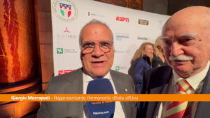 Italia-Stati Uniti, Marrapodi “Niaf crea ponti tra le due comunità”