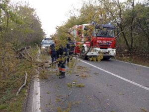 Tarquinia – Raffiche di vento, alberi caduti bloccano la Litoranea e l’Aurelia bis (FOTO)