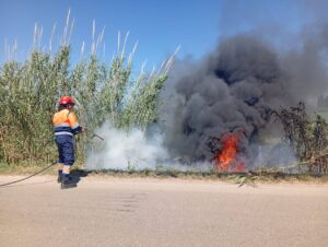 Tarquinia – Incendio sulla Litoranea: intervento rapido di AEOPC e Vigili del Fuoco (FOTO)