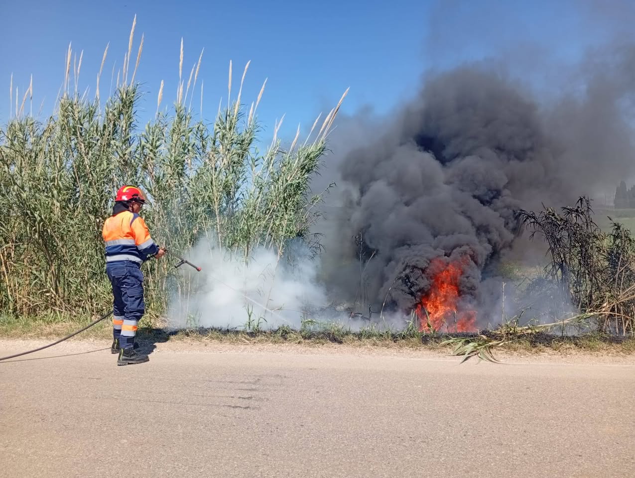 Tarquinia – Incendio sulla Litoranea: intervento rapido di AEOPC e Vigili del Fuoco (FOTO)