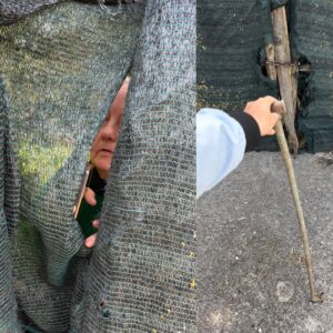 Rieti – L’accumulatrice seriale di animali Barbara Cavicchioli di nuovo piena di cani aggredisce con una spranga di ferro l’animalista Enrico Rizzi (VIDEO)