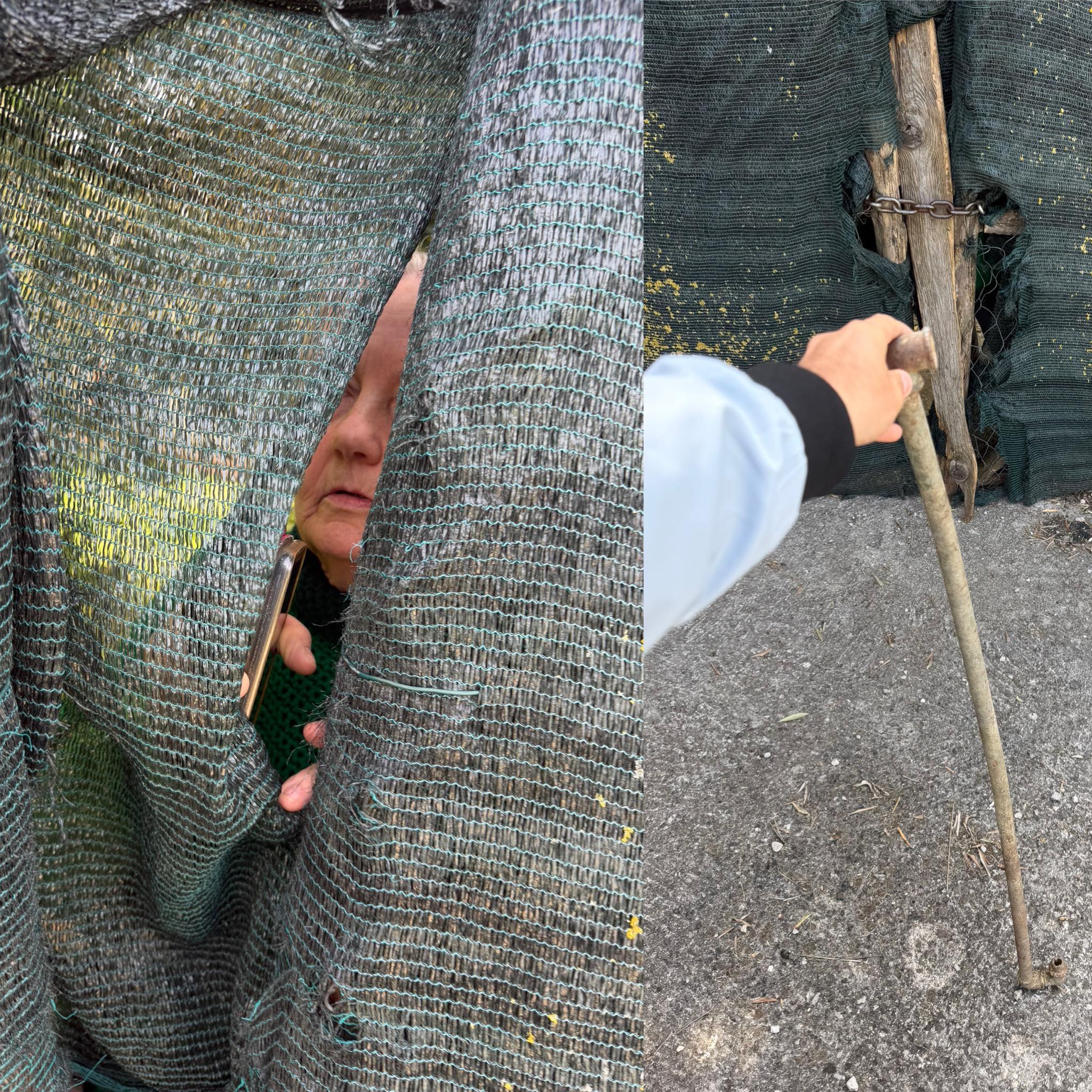 Rieti – L’accumulatrice seriale di animali Barbara Cavicchioli di nuovo piena di cani aggredisce con una spranga di ferro l’animalista Enrico Rizzi (VIDEO)