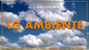 Tg Ambiente – 19/4/2026