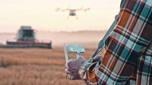 L’agroalimentare punta sull’intelligenza artificiale