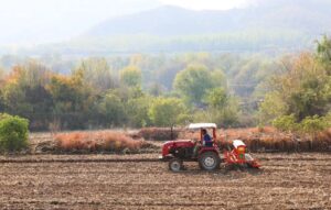 Cina, produzione di cereali in crescita anche nel 2026 secondo le previsioni