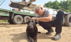 libano-anche-gli-animali-sotto-le-bombe-volontari-pronti-a-sfidare-gli-attacchi-per-salvarli