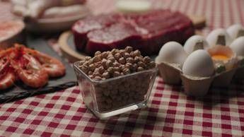 Quando gli alimenti uccidono: ecco la top 5 dei cibi più ‘letali’