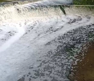 Schiuma nel fiume Sacco, Forestali alla ricerca degli autori dell’inquinamento