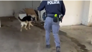 Roma – Tor Bella Monaca, spaccio di droga e pusher su strada, 11 arresti