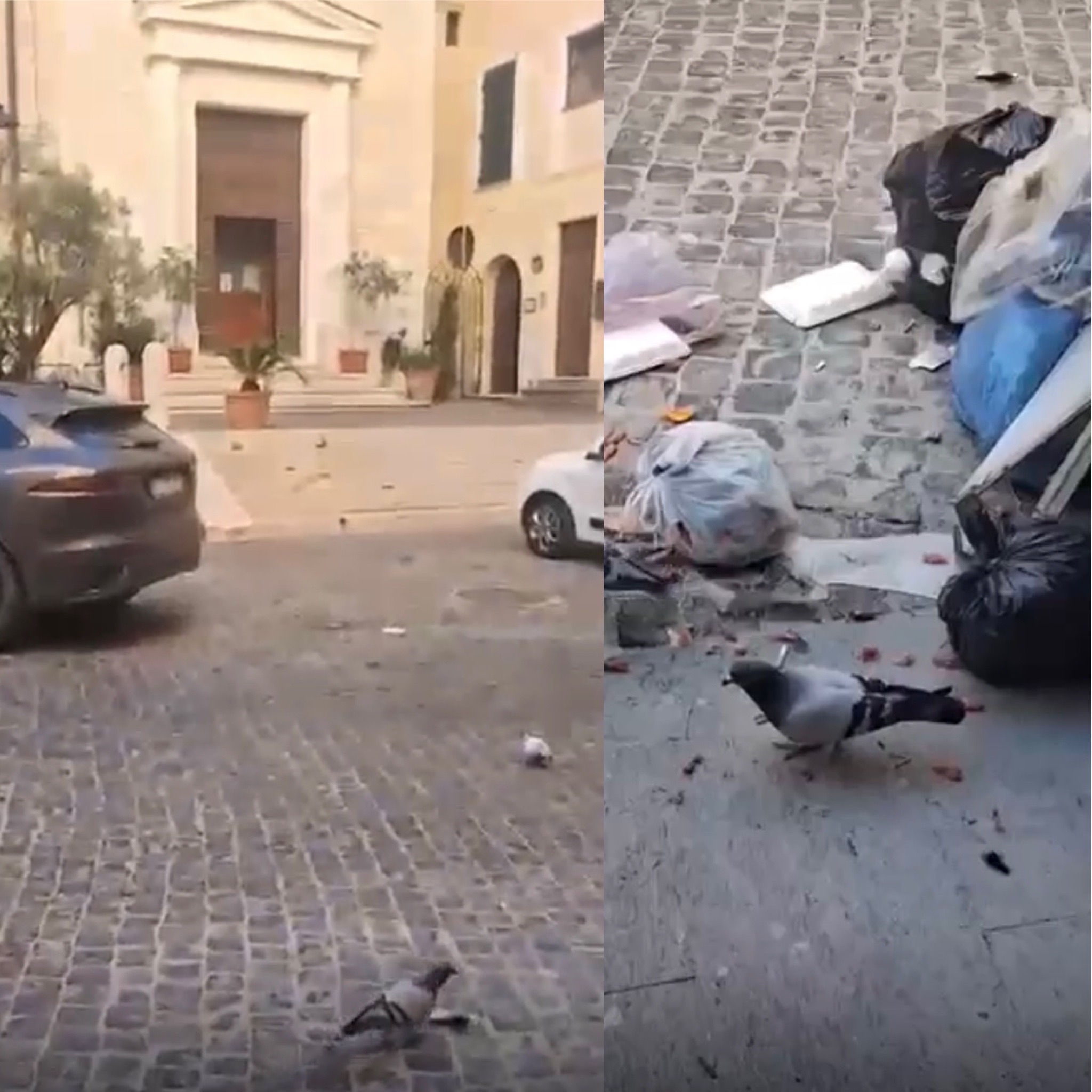 Civitavecchia – Csp: “La splendida cornice di piazza Leandra è stata deturpata dall’abbandono indiscriminato di rifiuti”