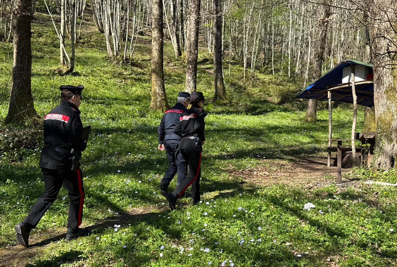 Velletri – Trovato in casa con una balestra ed i relativi dardi rubato in un’abitazione: in manette cinquantaseienne