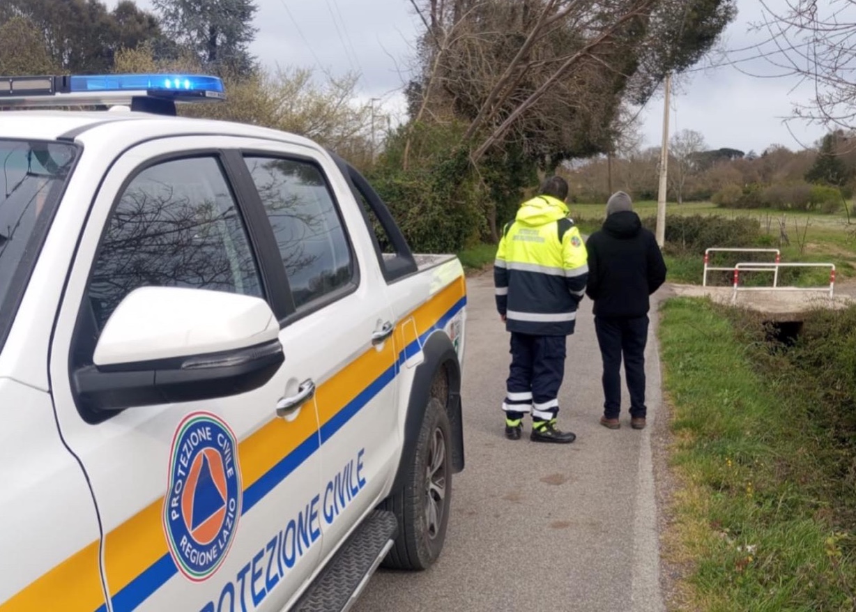 Canale Monterano – Vento forte, due grossi alberi rischiano di cadere sulla strada (FOTO)