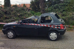 Viterbo – Rimosso l’albero crollato al Salamaro, l’auto schiacciata fa paura: tragedia sfiorata (FOTO)