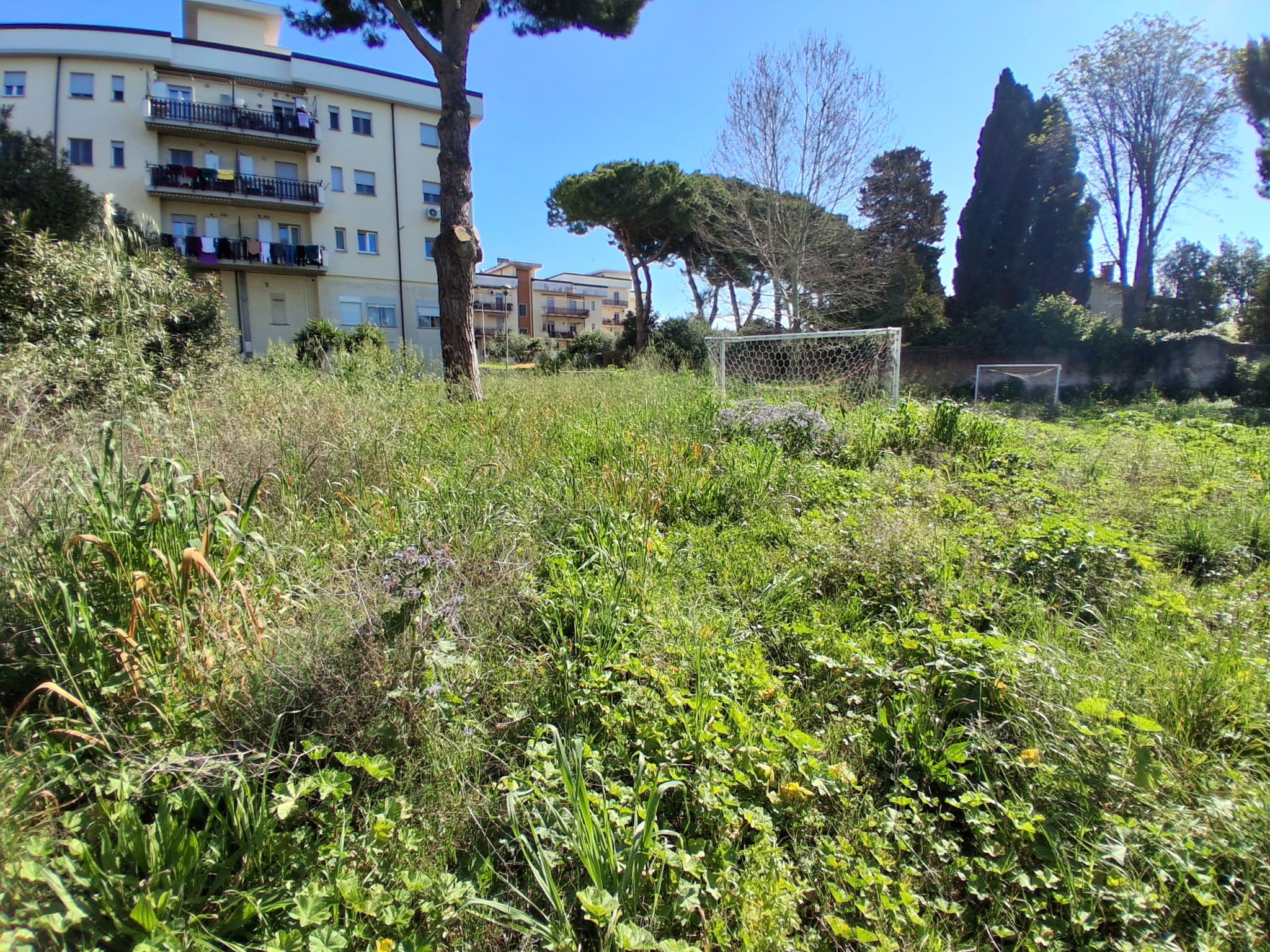 Tarquinia – La denuncia Diego Sileoni contro l’amministrazione Sposetti: “Zona Peep Aree verdi nel degrado” (FOTO)