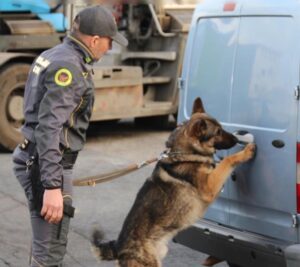Tarquinia – Maxi operazione antidroga, il bilancio della Guardia di Finanza: “Otto arresti e 30 perquisizioni, smantellato gruppo criminale” (FOTO)