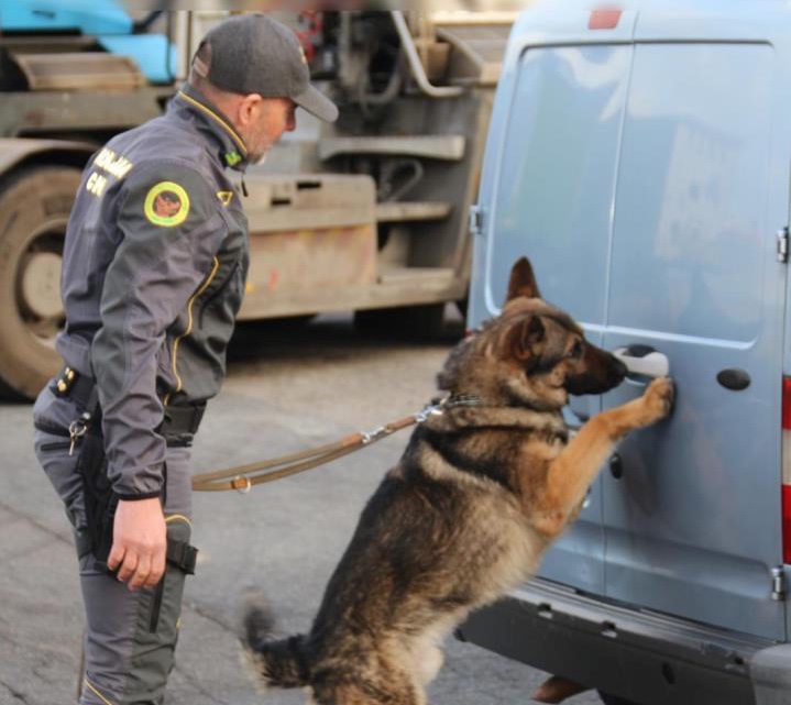 Tarquinia – Maxi operazione antidroga, il bilancio della Guardia di Finanza: “Otto arresti e 30 perquisizioni, smantellato gruppo criminale” (FOTO)