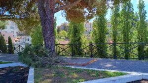 Viterbo – Rami crollano dai pini al parcheggio del Sacrario, ancora timori per la sicurezza