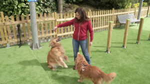 A MagicLand nasce DogLand – Anas, area dedicata al divertimento dei cani