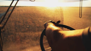 Agricoltura in crisi, il caldo estremo riduce raccolti e allevamenti