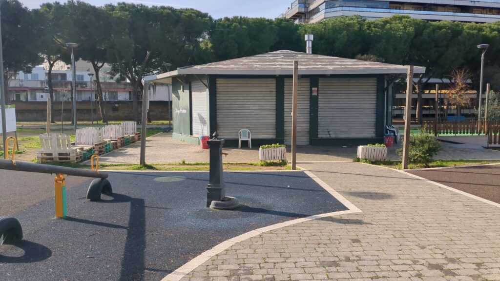 Civitavecchia – Alberi pericolanti, chiuso il parco Antonelli