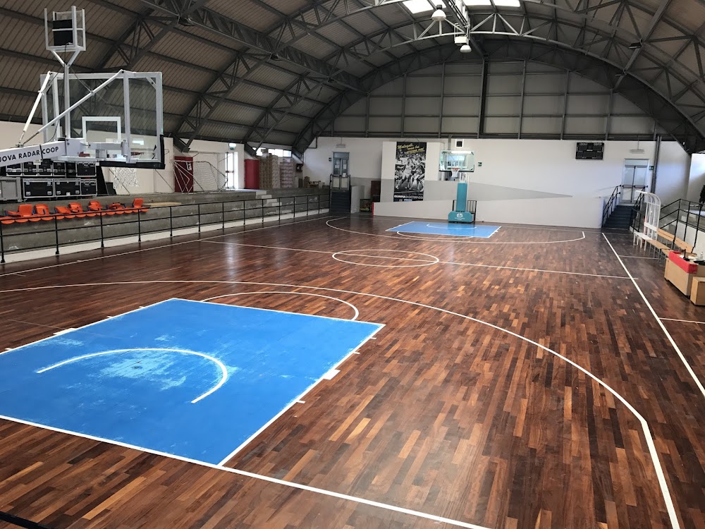 Pallacanestro – La Blu Star Viterbo pronta per la prossima Adriatica Cup di Pesaro: presenti ben 5 formazioni giovanili