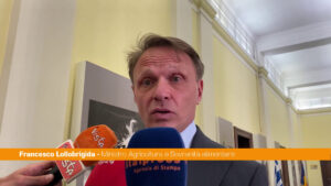 Agrofarmaci, Lollobrigida “Lavoriamo per proteggere nostro sistema produttivo”