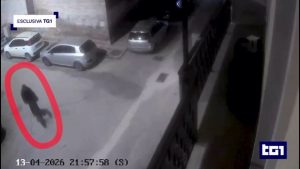 Foggia, omicidio personal trainer: al Tg1 il video del presunto killer