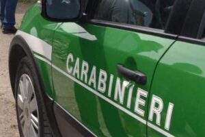 Sabaudia – Rifiuti pericolosi e combustione illecita in Parco Circeo, un denunciato