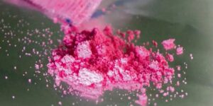 Roma – Blitz contro lo spaccio delle droghe sintetiche: il cane Holden scopre in un’intercapedine 3,5 chili di cocaina rosa