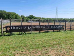 A Tarquinia entra nel vivo la Festa della Merca con musica, esibizioni equestri e sfilata di “moda butteresca”