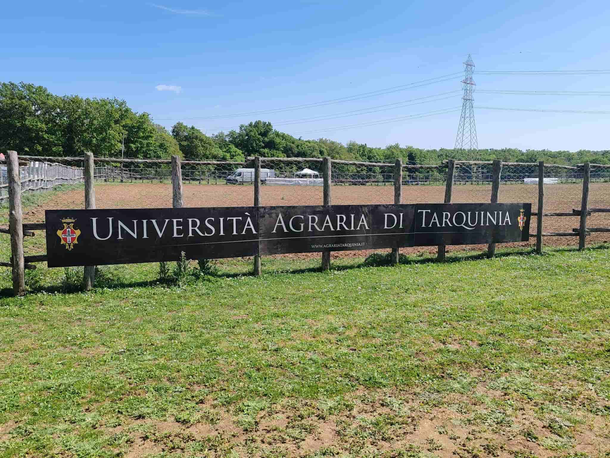 A Tarquinia entra nel vivo la Festa della Merca con musica, esibizioni equestri e sfilata di “moda butteresca”