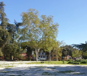 Viterbo – Tre piani di parcheggio per un massimo di 300 posti sotto Pratogiardino