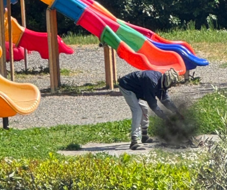 Orrore nel parco: uccide un gatto e lo arrostisce davanti ai passanti