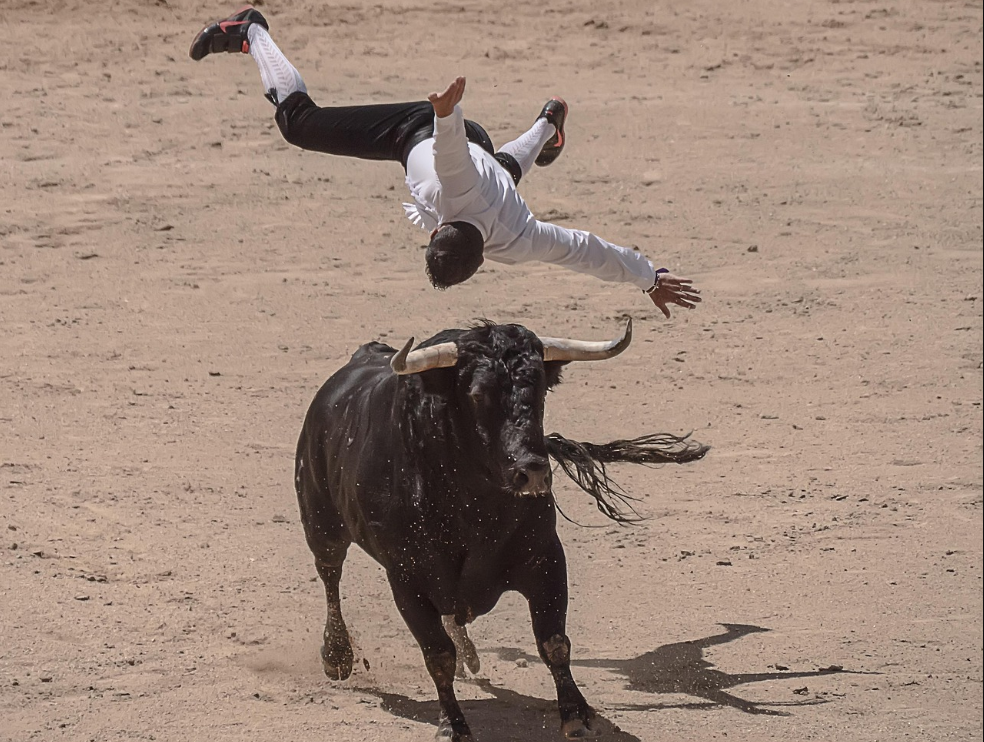 Toro incorna e perfora il retto anale a un torero durante la corrida, gravissime le lesioni