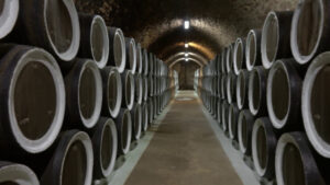 Vino, export mondiale da record ma pesano i dazi Usa