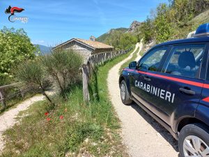 Rieti – Camionista ubriaco si ribalta con l’autoarticolato sulla Salto-Cicolana: dopo i soccorsi scatta la denuncia