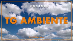 Tg Ambiente – 10/5/2026