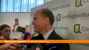 Agricoltura, Giansanti “Con blocco Hormuz peggiore crisi degli ultimi 100 anni”