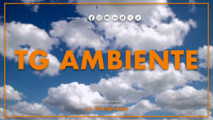 Tg Ambiente – 3/5/2026