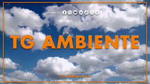 Tg Ambiente – 31/5/2026