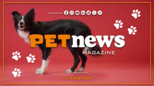 PetNews Magazine – 25/5/2026