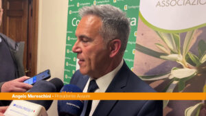 Moreschini “Con Efoi risultato storico per il comparto olive da tavola”