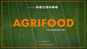 Agrifood Magazine – 20/5/2026