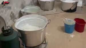Dall’Ecuador al litorale laziale, smantellato cartello della cocaina