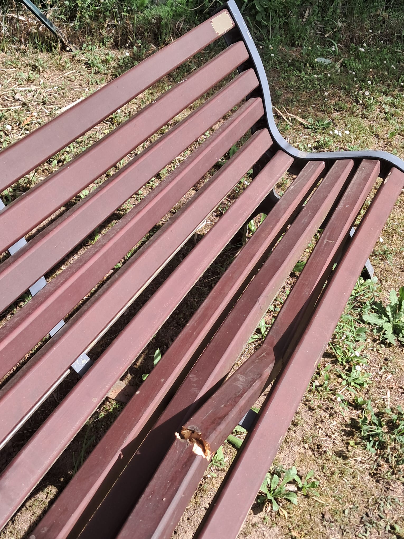 Viterbo – Vandalizzata panchina del Giardino della Memoria al cimitero di San Lazzaro