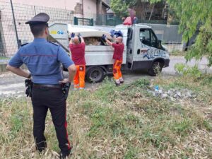 Roma – Rimossi 300 chili di rifiuti nella zona del parco di Colle Oppio