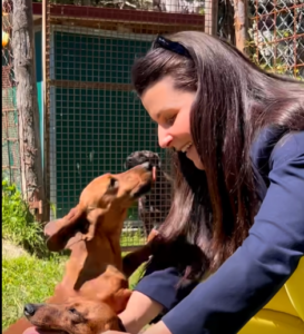 Viterbo – I cani sequestrati in salvo a Bagnaia, Frontini visita il canile: “Storie difficili dietro i loro occhi”
