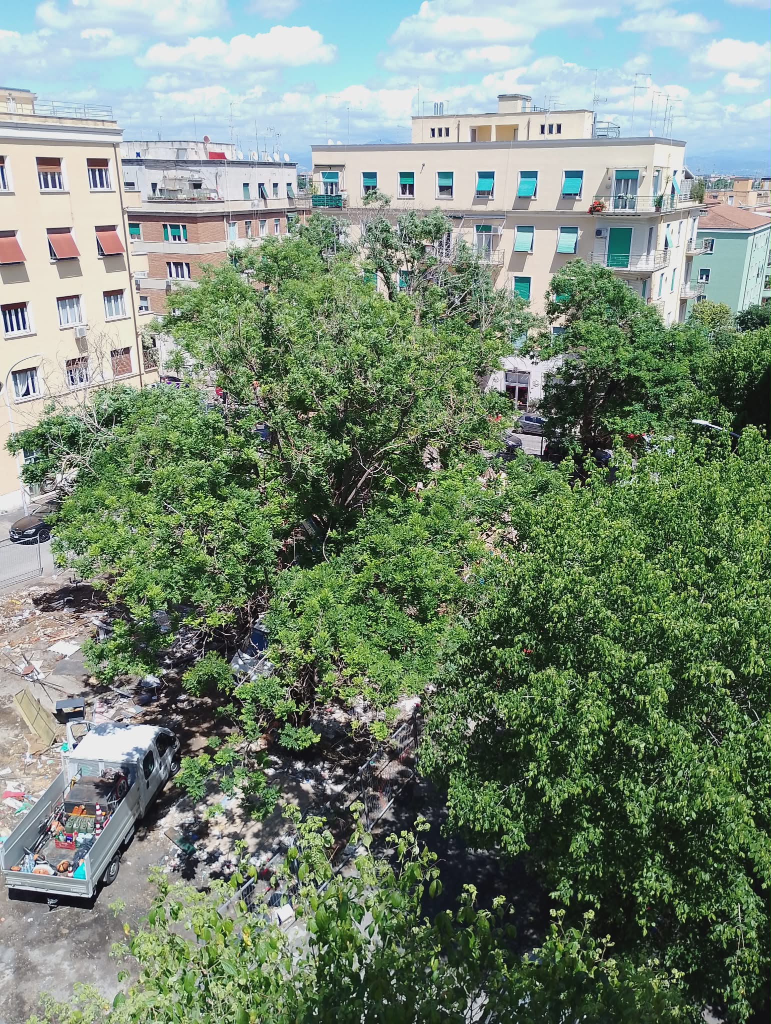 Roma – Iniziato il taglio degli alberi a Piazza Bologna nonostante il divieto: a maggio è periodo di nidificazione